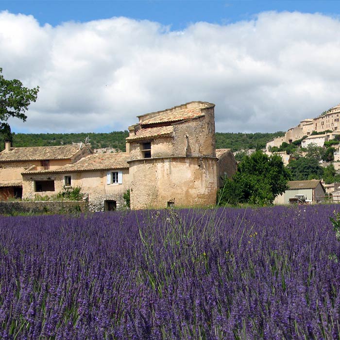 Simiane-la-Rotonde Farm Simiane, France