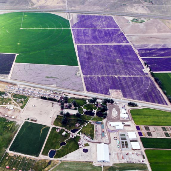 Whispering Springs Farm in Mona, Utah