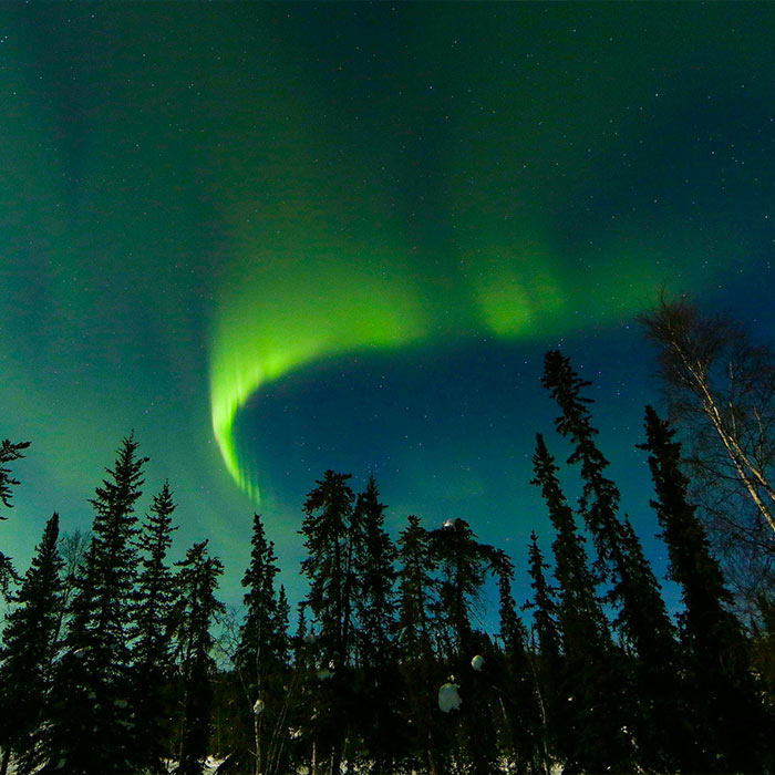 Northern Lights Farm British Columbia, Canada