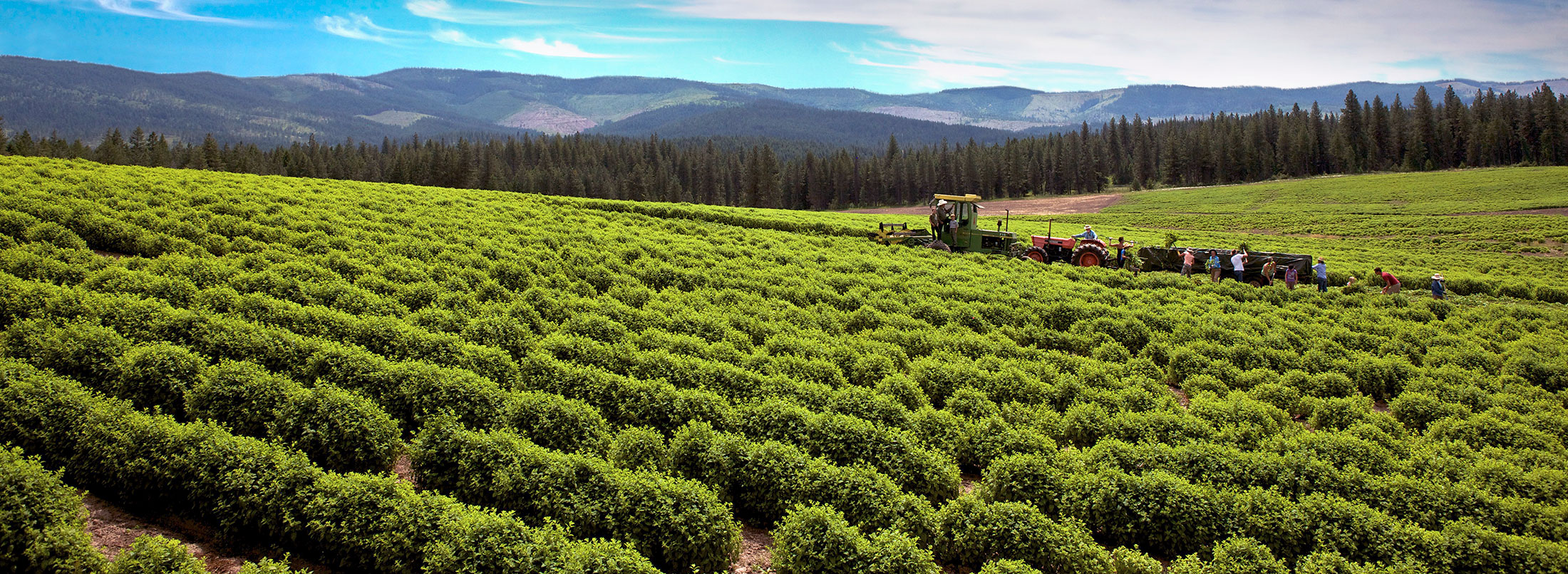 St. Maries, Idaho